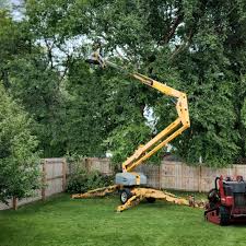 Best Tree Maintenance Programs  in Hopewell, NJ