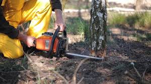 Lawn Maintenance Plans in Hopewell, NJ