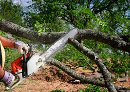 Best Lawn Drainage Solutions  in Hopewell, NJ